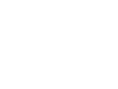Rich data